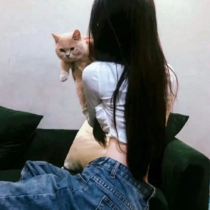 杀人者的购物中心